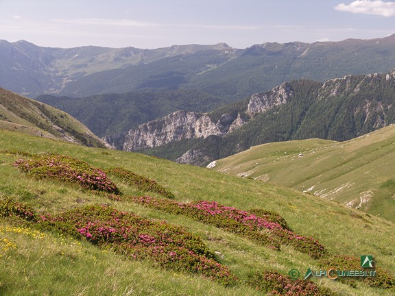 8 - Panorama verso la Valle Tanaro dal Passo delle Saline (2006)