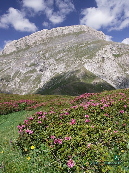 10 - Cima delle Saline dal passo omonimo (2006)