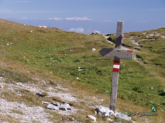 7 - Al Bocchino dell'Aseo: nelle giornate limpide la vista spazia fino alla Valle d'Aosta (2006)