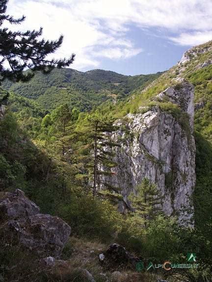 6 - Il sentiero si avvicina all'Orrido di Prale (2007)