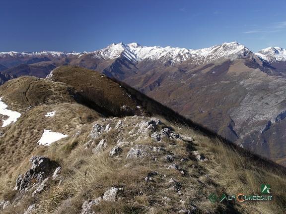 6 - Panorama sull'Alta Val Tanaro dalla vetta del Monte Galero; in primo piano la dorsale occidentale e l'anticima O (2007)