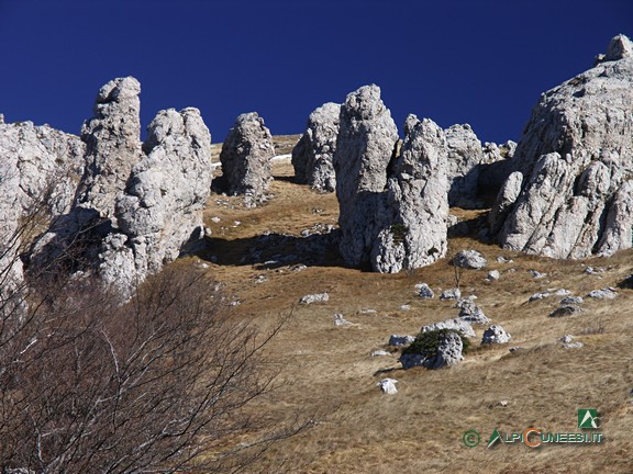 9 - Brecce affioranti nei pressi della vetta del Monte Galero (2007)