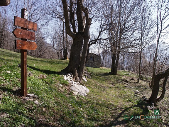 4 - La mulattiera all'ingresso di Cariò (2008)