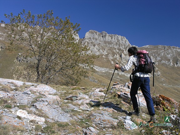 11 - La salita verso Pian dei Boari (2011)