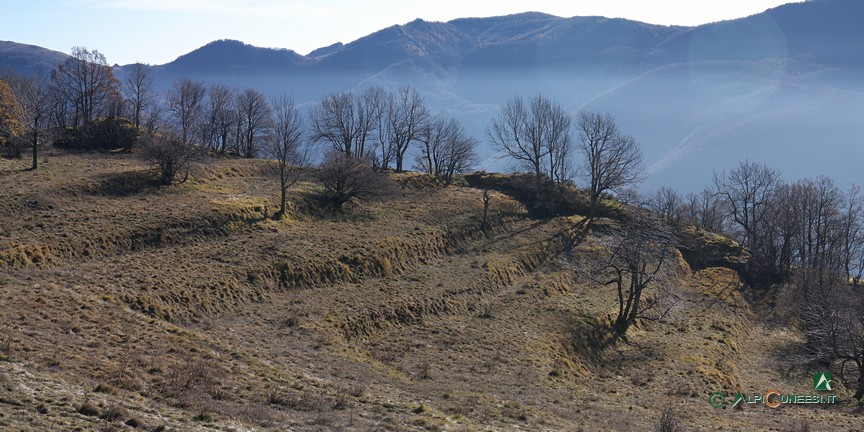 4 - Terrazzamenti nei pressi delle Stalle Calvetto (2011)