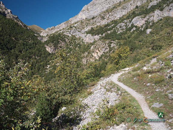 2 - Nel Vallone di Carnino, verso Pian Ciucchea (2026)