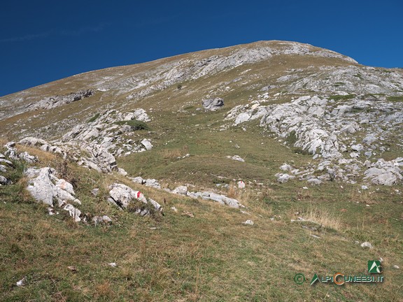 8 - Cima Palù dai pressi del Passo della Croce (2026)