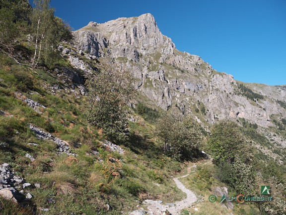 10 - Cima degli Arpetti dal Vallone di Carnino (2003)