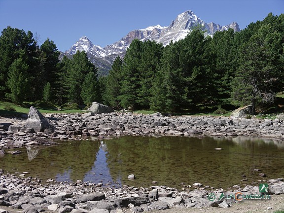 9 - Il Lago Secco, circondato dalla cembreta dell'Alevè; sullo sfondo, a destra il Pelvo d'Elva, a sinistra il Monte Chersogno (2006)