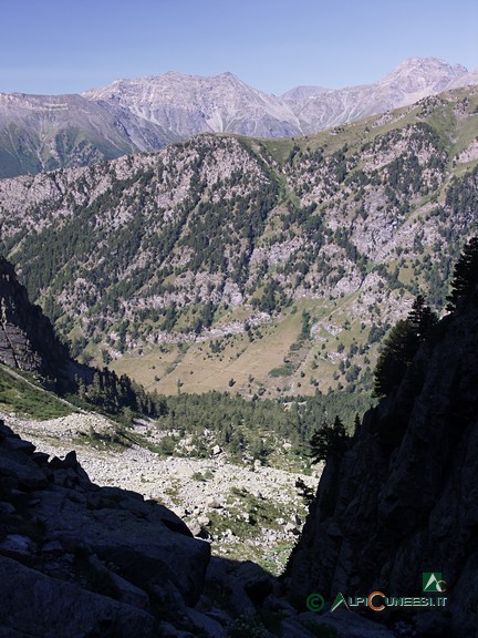 5 - Panorama verso valle da metà del canale (2007)