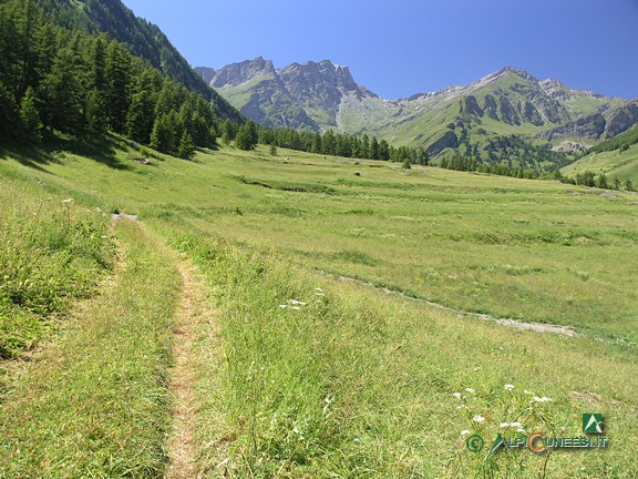 3 - La pista inerbita che attraversa i pascoli a valle di Chianale (2008)