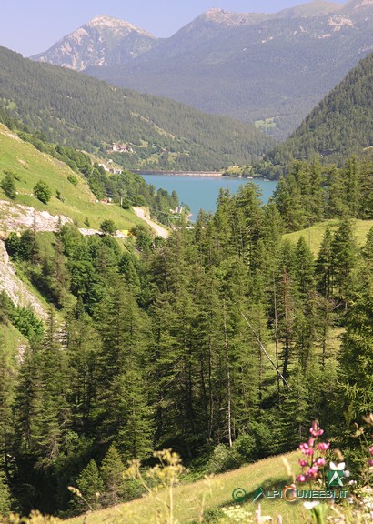 5 - Il lariceto ed il Lago di Castello dal sentiero (2008)