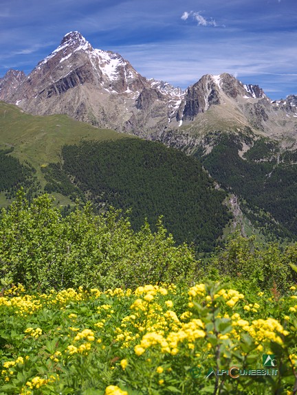 4 - Il Monviso dalla spalletta che precede il Colle della Battagliola (2015)