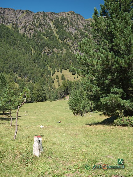 9 - Le pietre infisse nel terreno che guidano attraverso la radura (2021)