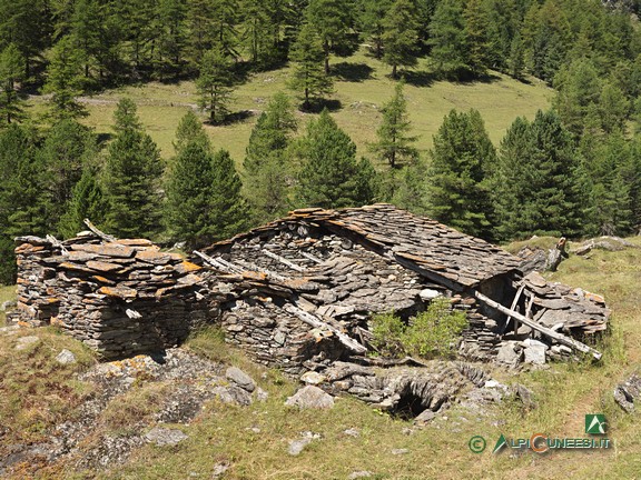 10 - I ruderi nella radura presso le Grange Gheit (2021)