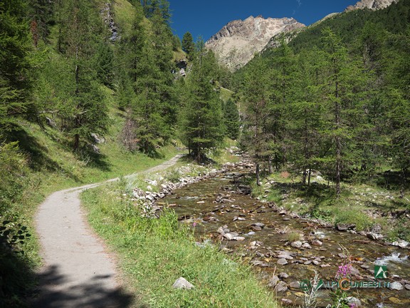 13 - Il tratto di sentiero che corre a fianco del Torrente Vallanta (2021)