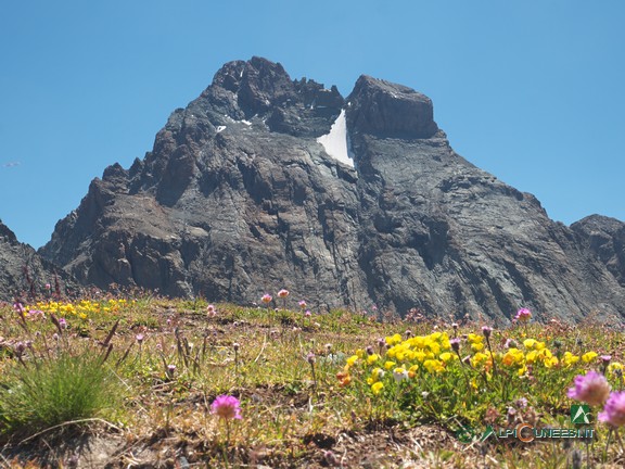 15 - Il Monviso si erge di fronte al Monte Losetta (2022)