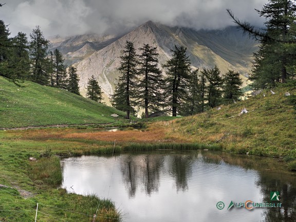 14 - Larici si specchiano nel Lago delle Torrette (2022)