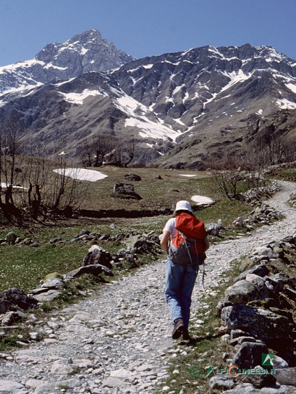 1 - L'inizio dell'itinerario per il Bivacco Boerio nei pressi di Sant'Anna di Bellino (1994)