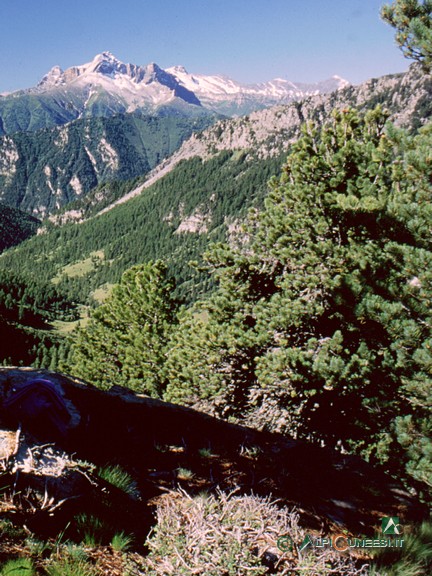 1 - Il Vallone di Vallanta dal sentiero che sale al Bivacco Berardo; sullo sfondo il Pelvo d'Elva (2001)