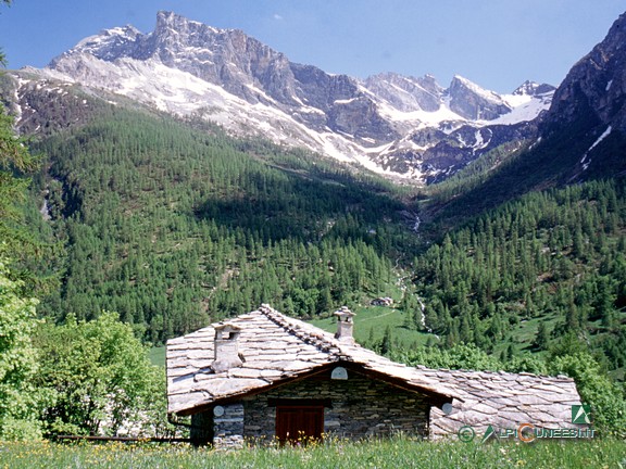 1 - Panorama da monte delle abitazioni di Grange Culet (itinerario 15.09) verso il Vallone di Camoscera. Sullo sfondo il Bric Camoscera e, alle sue spalle, la vetta del Pelvo d'Elva (2004)