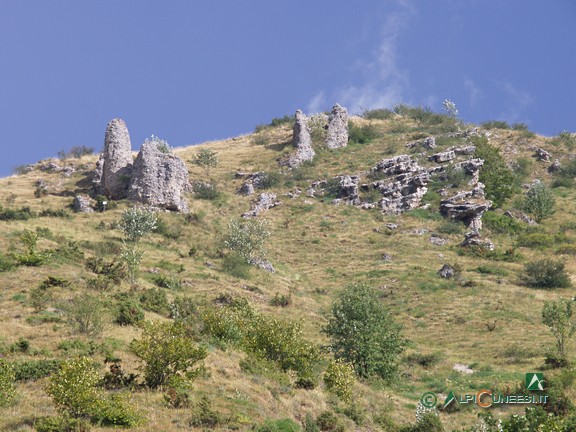 8 - Gli affioramenti di rocce conglomerate lungo le pendici del Monte Croce (2007)