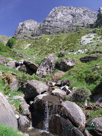 12 - Il rio che scende dal Monte Sapè (2009)