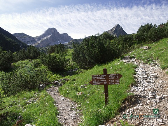 8 - Il Vallone degli Alberghi. A destra il Monte Frisson, a sinistra il Monte Ciamoussè (2009)