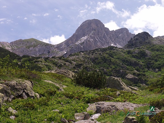 13 - L'alto Vallone degli Alberghi e il Monte Ciamoussè (2009)