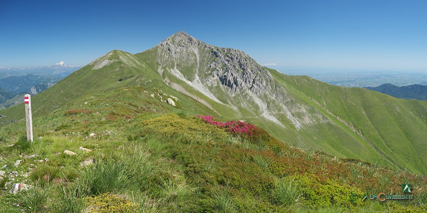 6 - Il Monte Pianard e la Rocca d'Orel dai pressi del Colle della Garbella (2020)