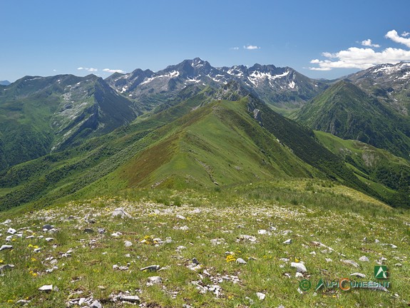8 - La lunghissima displuviale percorsa dal sentiero e, a sinistra, la Costa Pianard, visti dal Monte Pianard (2020)