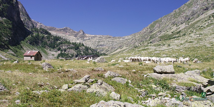 3 - Gias del Chiot della Sella; sulla sinistra, il casotto di sorveglianza del Parco (2005)