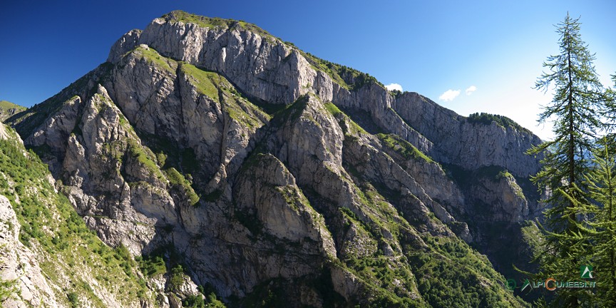 8 - Der Monte Pietravecchia (2014)