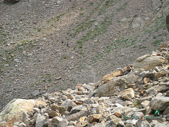 4 - La faticosa salita tra le pietraie del Vallon di Mont Colomb (2014)
