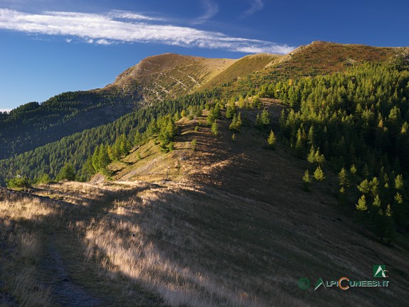 4 - Der Pass Colle delle Selle Vecchie (2014)