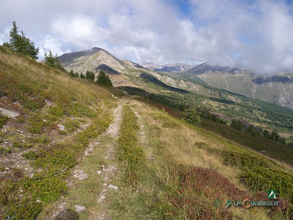 9 - Der Weg am Fuß des Cima Missun (2014)