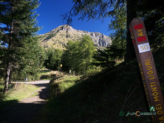 6 - La pista sterrata che si stacca dal Passo di Collardente con la palina dell'Alta Via dei Monti Liguri (2014)