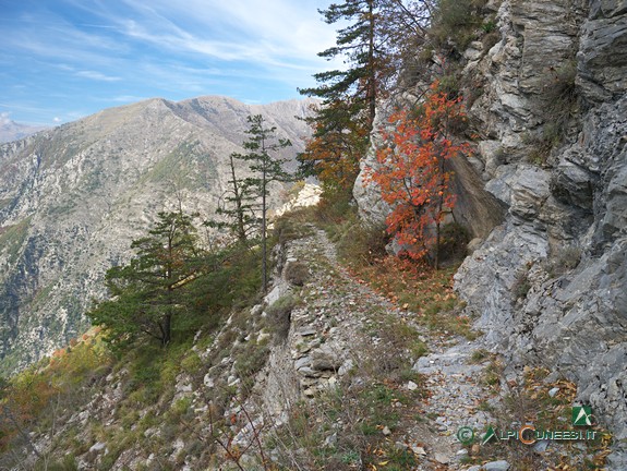 13 - Un tratto di sentiero tra il Passo del Corvo e il Passo Muratone (2014)