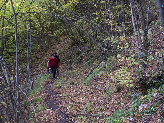 5 - Un tratto del sentiero che sale al Collet du Mont Agu (2014)