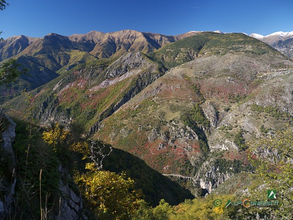 7 - Panorama dai pressi del Collet du Mont Agu (2014)