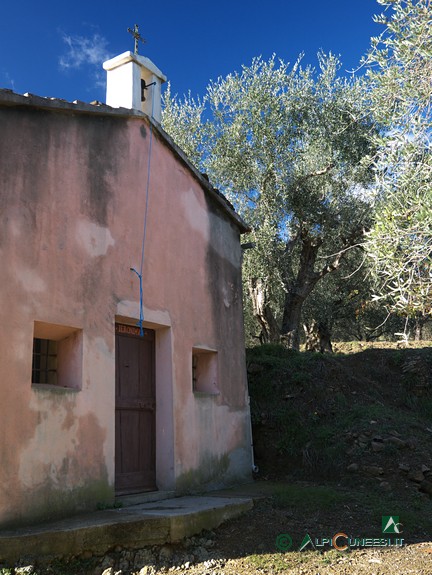 13 - Die Kapelle Chapelle Saint-Jérôme umringt von Olivenbäumen (2014)