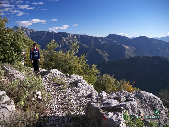 1 - Il sentiero nei pressi della Cima delle Rove (2014)