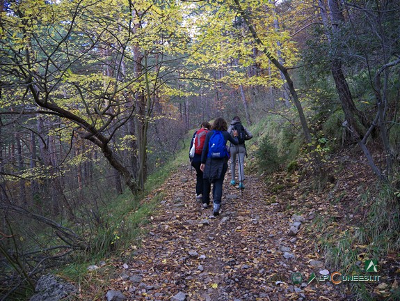 2 - La vecchia pista sterrata che sale alle pendici settentrionali del Monte Grammondo (2014)