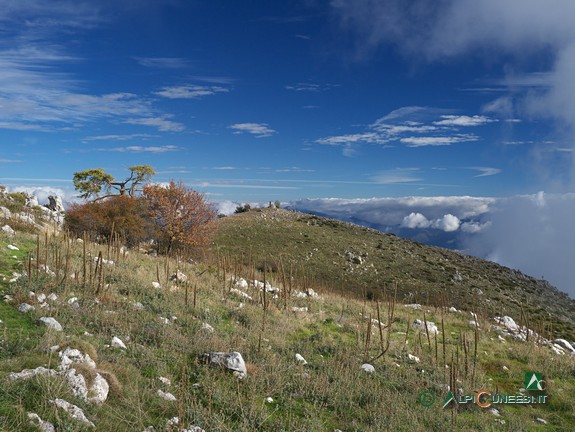 4 - La vetta in territorio italiano del Monte Grammondo (2014)