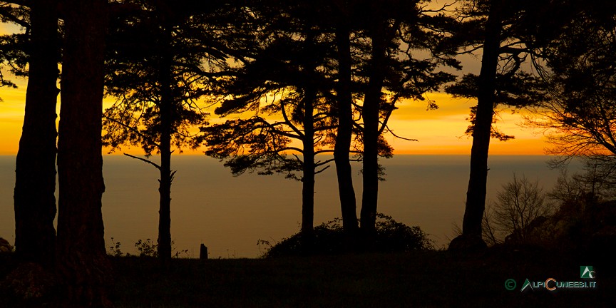 10 - Tramonto nella pineta al Col du Berceau (2014)