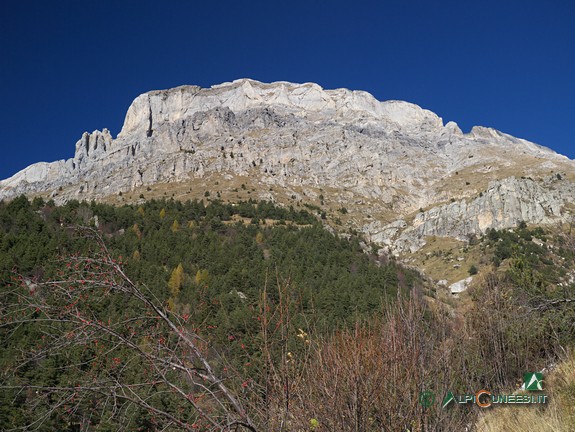 6 - La Rocca del Garbo (2016)