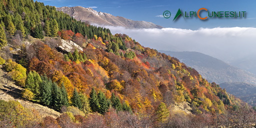 BO.06 Variante: Chionea - Chioraira - La Colma - Quarzina