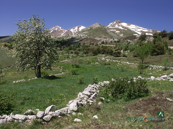 3 - Il Pizzo d'Ormea a destra e il Bric Conoia a sinistra accompagnano la discesa su Quarzina (2009)