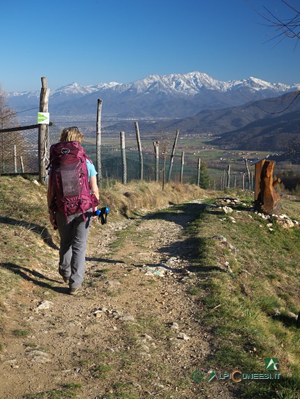 6 - Un tratto panoramico del percorso, tra campi cintati (2019)