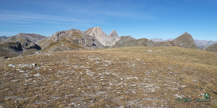 15 - L'arrotonadata sommità della Cima Fauniera (2019)